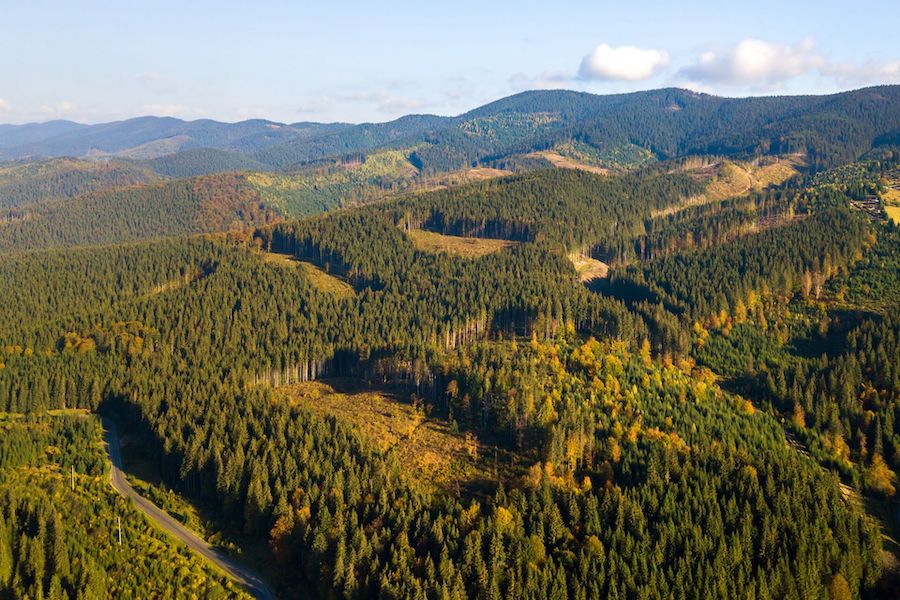 Terrestrial Ecosystems