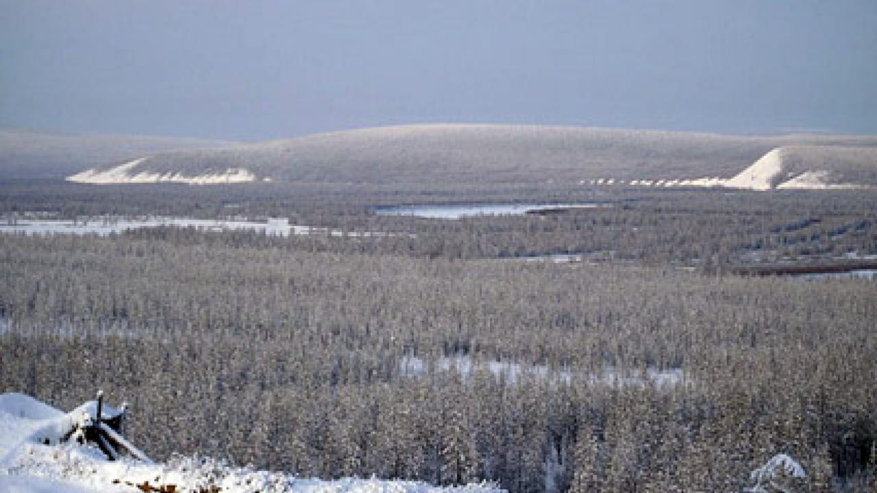 Boreal forests in Northern Eurasia