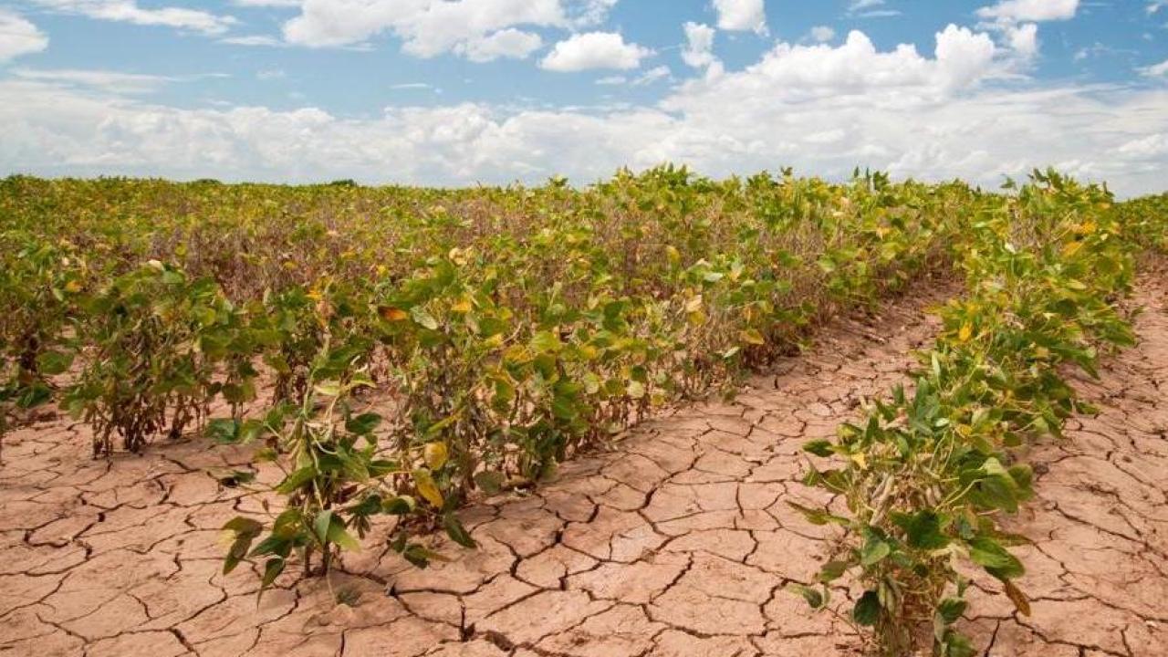 Agriculture