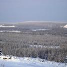 Boreal forests in Northern Eurasia